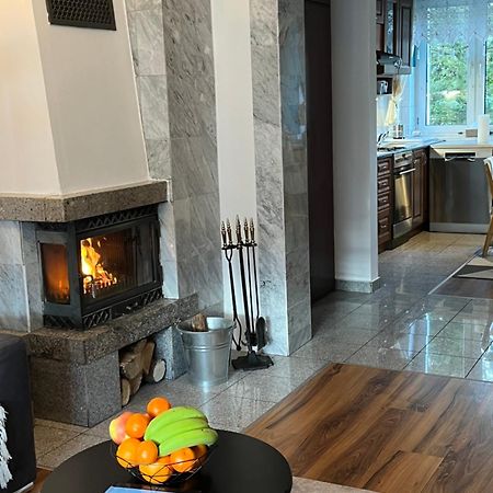 Sweet Home Cieplice Mountain View Apartament By The Main Park And Thermal Pools Jelenia Góra Buitenkant foto
