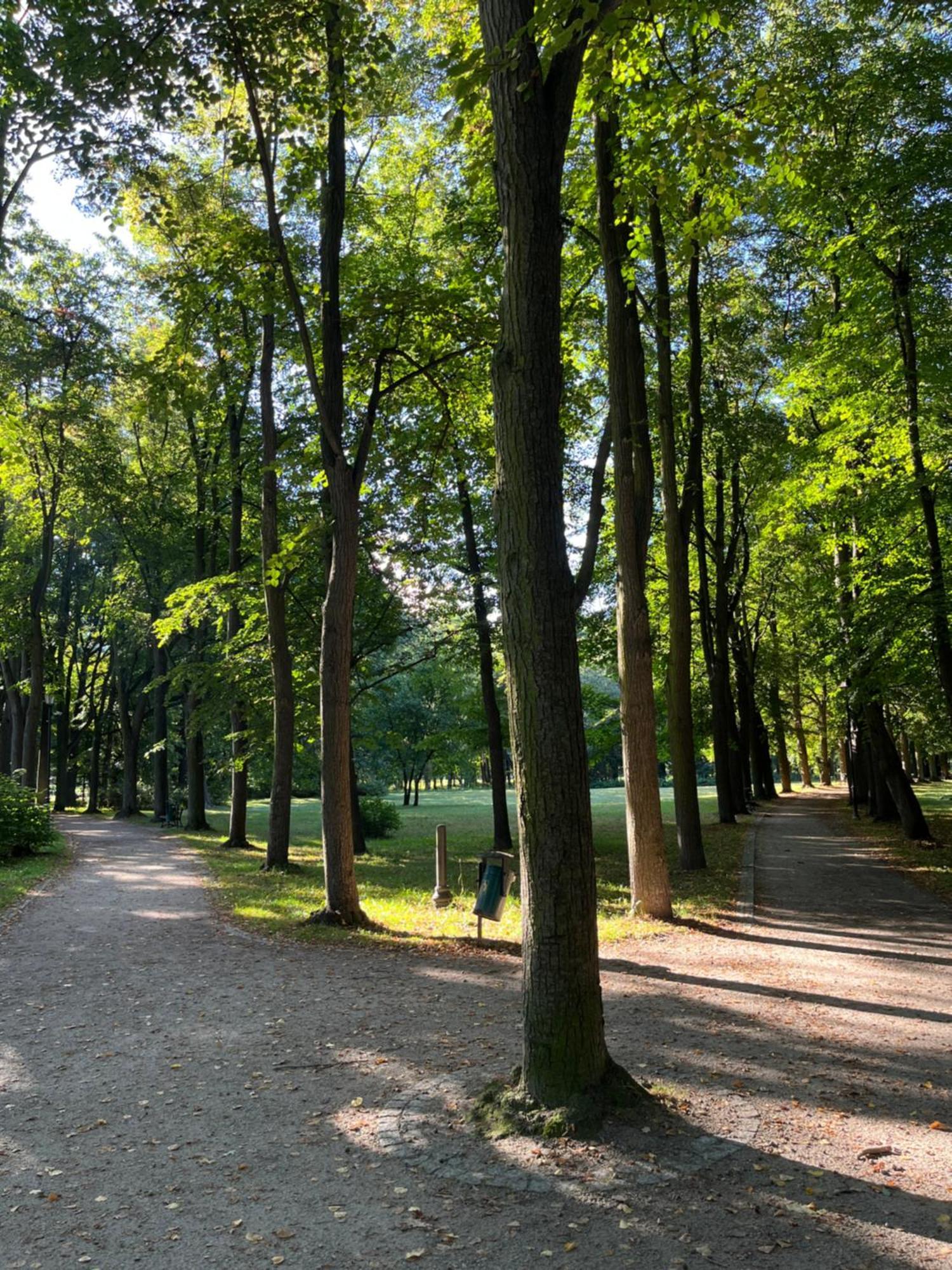 Sweet Home Cieplice Mountain View Apartament By The Main Park And Thermal Pools Jelenia Góra Buitenkant foto